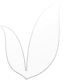 Layer 2