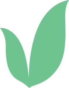Decorative Plant Element